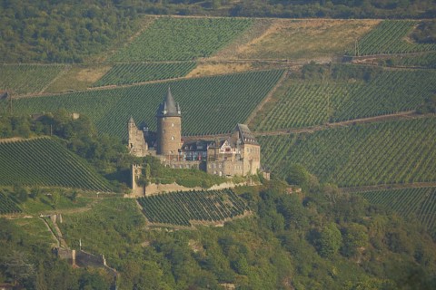 Stahleck Castle with tower and vineyards, wine-growing area, landscape, Bacharach,