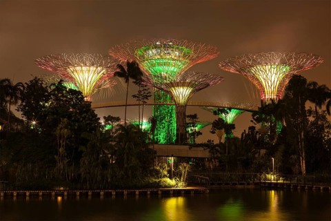 SINGAPORE, DECEMBER 31, 2013: Night view of Supertree Grove at Gardens by the Bay. Futuristic park