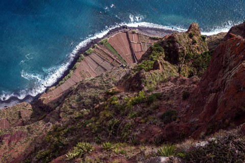 View from the glass-bottom skywalk, Cabo Girao, of terraced fields by the sea, Camara de Lobos,
