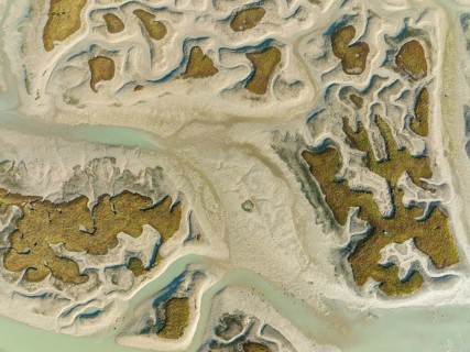 Network of channels and streams at low tide, in the marshland of the Bahía de Cádiz, aerial view,