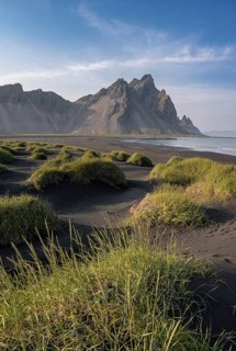 Black beach with volcanic sand, sandy beach, dunes with grass, Stokksnes headland, Klifatindur