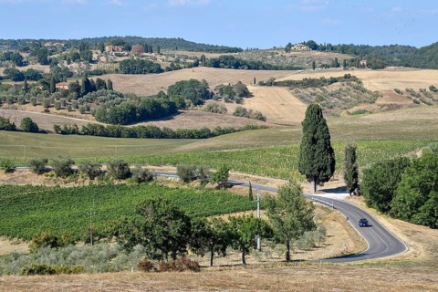 Car on a country road near Montepulciano, Tuscany, Italy, Europe