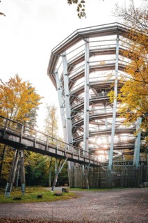 Observation tower of the treetop walk in autumn, Sommerberg, Bad Wildbad, Black Forest, Germany,
