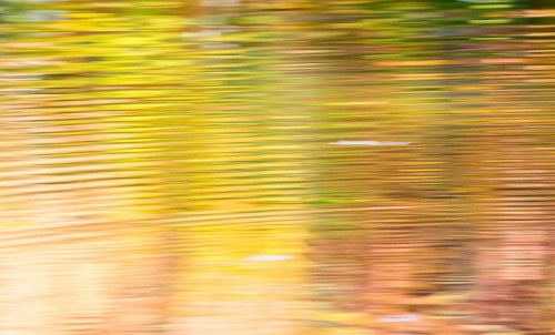 In the water of the Bockelsberg ponds yellow, golden, orange and green colourful autumn leaves are