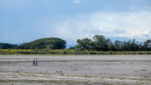 People walking in the very dry Zicksee, Lake Neusiedl-Seewinkel National Park, Burgenland, Austria,