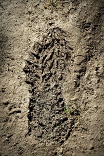 Footprint in the mud. Cezallier plateau. Auvergne. France