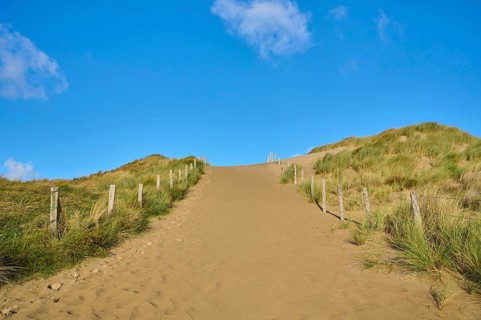 Beach access, sand dune, dune grass, wind, clouds, Zandvoort, North Sea, North Holland, Netherlands