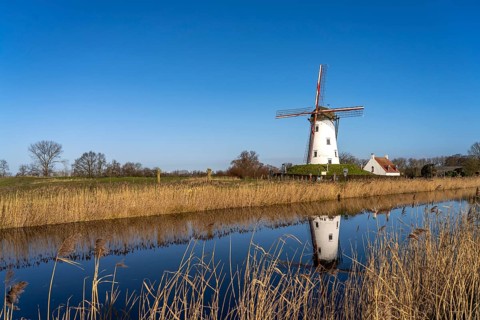 Windmill de Schellemolen in Damme, West Flanders, Belgium, Europe
