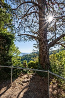 View from the Altbodman castle ruins over the Bodanrück to Lake Constance, Bodman-Ludwigshafen,
