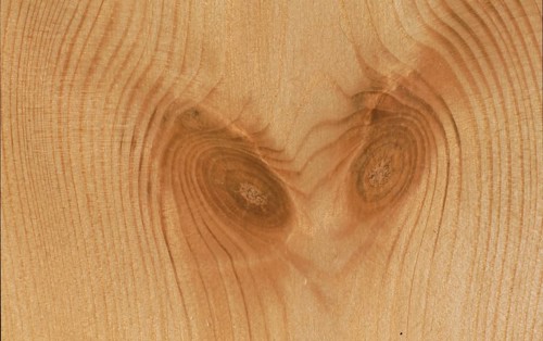 Wood structure, birch wood with stone finish