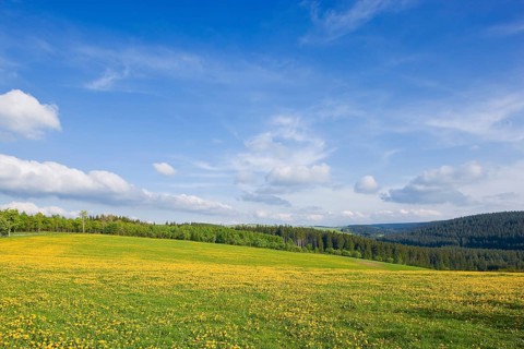 Landscape near Frauenstein