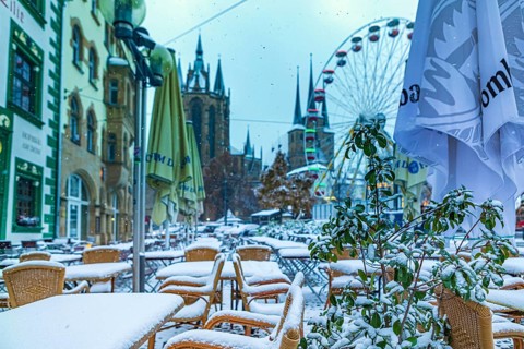 Christmas market on the cathedral square in Erfurt, Thuringia, Germany, Europe