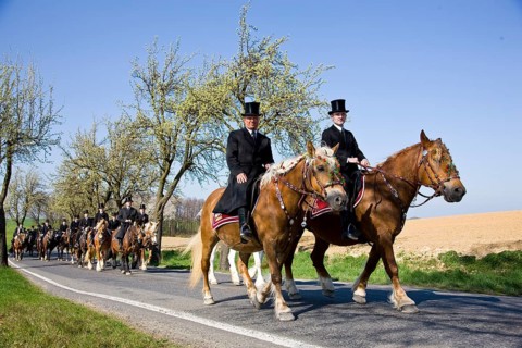 Every year at Easter there are about 5 processions in Lusatia, each with about 200 riders. The