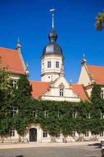Riesa