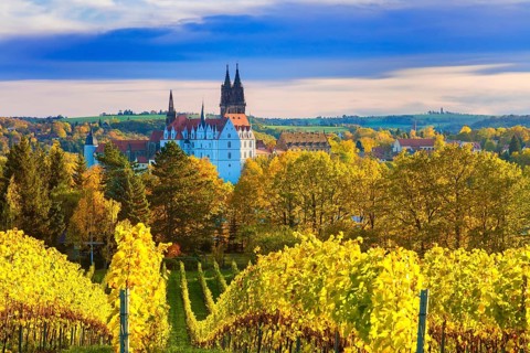 View of Meissen from the Proschwitz Estate