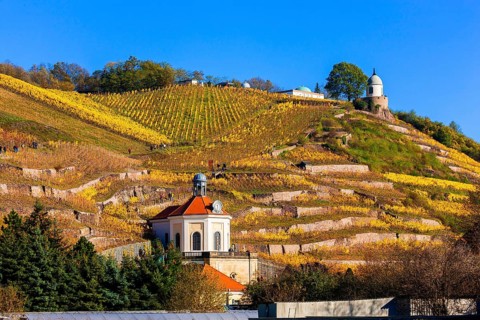 Wackerbarth Castle or Wackerbarths Ruh is a Baroque castle surrounded by vineyards in the