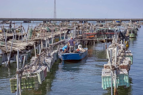 Fishermen in fishing boat in harbour at the Po Delta south of Chioggia, Veneto region of northern