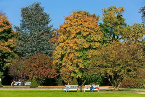 Large garden in autumn