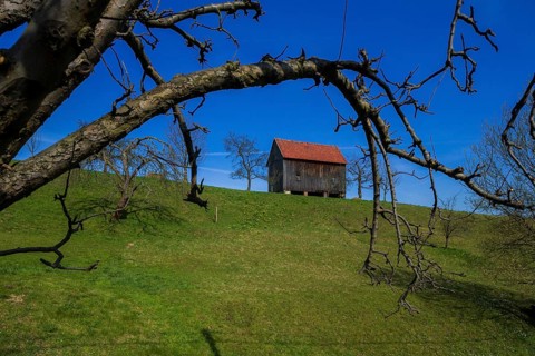 Lohsdorf is located to the east of the Saxon state capital Dresden in the north of Saxon
