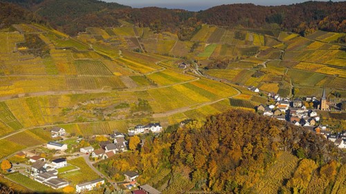 Vineyards in autumn, Mayschoß with parish church, red wine growing region Ahrtal, red wine of the