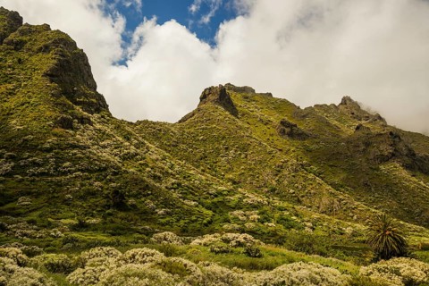 Teno Mountains, Tenerife, Canary Islands, Spain, Europe