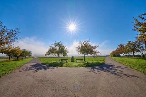 Fork in the road, field landscape, fruit trees, bench, sun, sky, autumn, beeches, Odenwald,