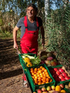 Man in red work trousers pushing wheelbarrow full of different fruits in birch forest, healthy