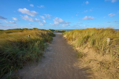 Beach access, sand dune, dune grass, wind, clouds, Zandvoort, North Sea, North Holland, Netherlands