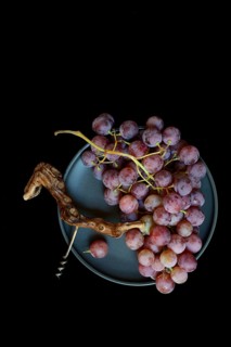 Red grape vine (Vitis vinifera) with corkscrew against a dark background