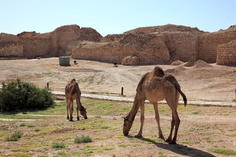 Samhuram, Khor Rouri, excavation site on the ancient Incense Road, Unesco World Heritage Site, near