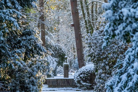 Fountain and rhododendrons in the snow, south-west churchyard, historic cemetery in Stahnsdorf,