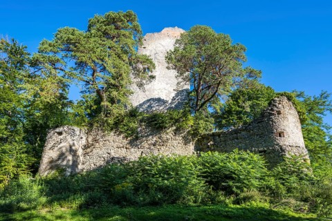 The Altbodman castle ruins on the Bodanrück, Bodman-Ludwigshafen, Constance district,