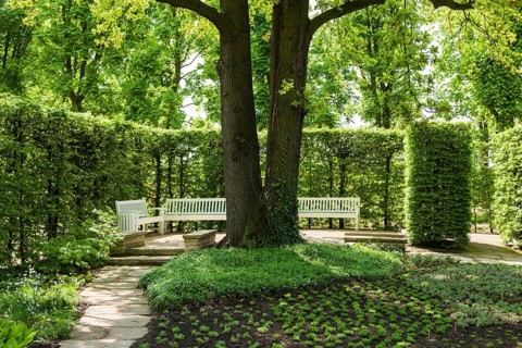 Pillnitz Palace Park in spring