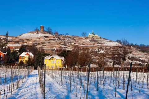 Spitzhaus in Radebeul