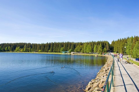 The Greifenbachstauweiher (also known as Dammteich or Geyerscher Teich) is located between Geyer