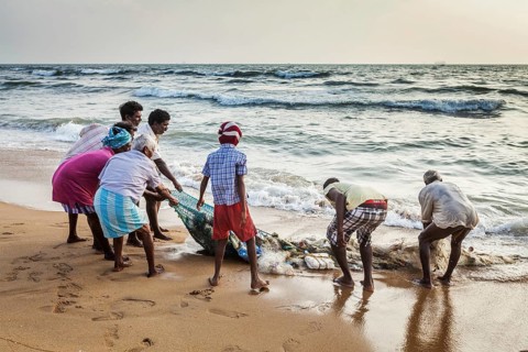 CHENNAI, INDIA, FEBRUARY 10, 2013: Indian fishermen dragging fishing net with their catch from sea