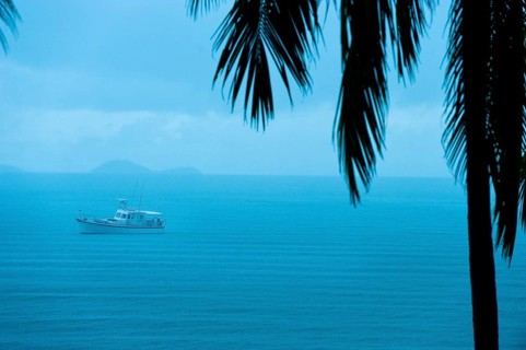 Tropical rain, tropical rain, rainy season, palm, storm, weather, sea, boat, calm, climate,