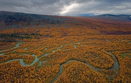 Drone shot, view of the valley Ladtjovagge with the meandering river Ladtjojakka, birch forests,