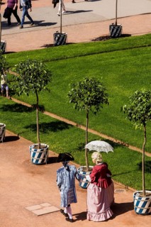 Return of the oranges from their winter quarters to the Dresden Zwinger