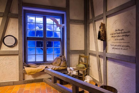 Winter exhibition Three Hazelnuts for Cinderella