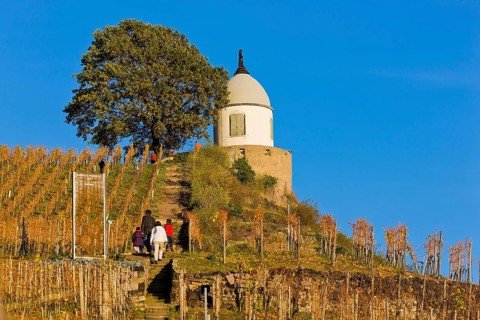 Wackerbarth Castle or Wackerbarths Ruh is a Baroque castle surrounded by vineyards in the