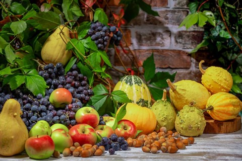 Autumnal Still Life with Blue Burgundy Grapes, Apples, Pumpkins and Hazelnuts in Front of a Brick