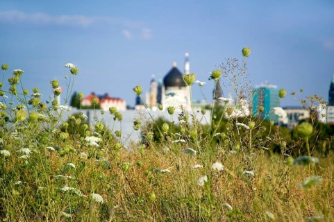 View of the old town from the former rubble hill in Friedrichstadt