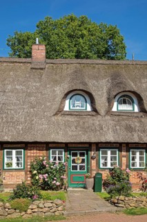 Thatched-roof house, Egestorf, Lower Saxony, Germany, Europe
