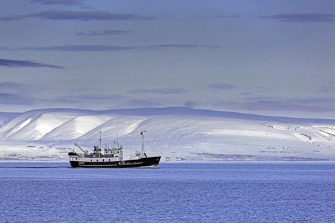 Snow covered mountains and boat with tourists during fjord-cruise in Billefjorden in autumn,