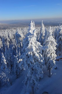 Winter landscape in the Fichtel Mountains, view from the Ochsenkopf, Bayreuth County, Upper