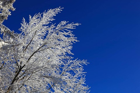 Winter landscape in the Fichtelgebirge, Bayreuth district, Upper Franconia, Bavaria, Germany,