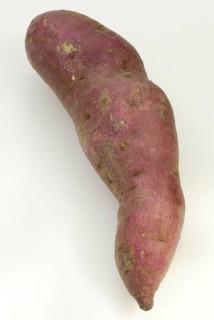 Sweet potato (Ipomoea batatas)