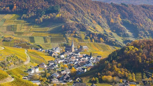 Vineyards in autumn, Mayschoß with parish church, red wine growing region Ahrtal, red wine of the