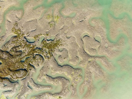 Network of channels and streams at low tide, in the marshland of the Bahía de Cádiz, aerial view,